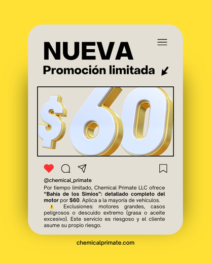 "Bay of the Apes" / "Bahia de los Simios"